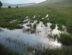 Ekili araziler zarar gördü 